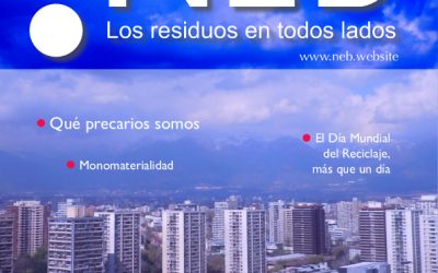 Nueva edición de la revista NEB