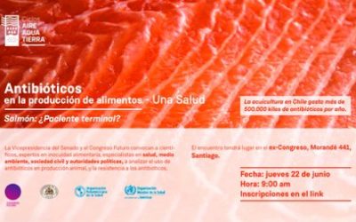 ¿ANTIBIÓTICOS EN LA PRODUCCIÓN DE ALIMENTOS?