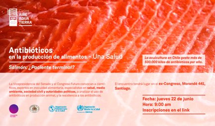 ¿ANTIBIÓTICOS EN LA PRODUCCIÓN DE ALIMENTOS?