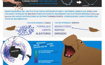 ‘Big data’ para seguir el movimiento de los elefantes marinos