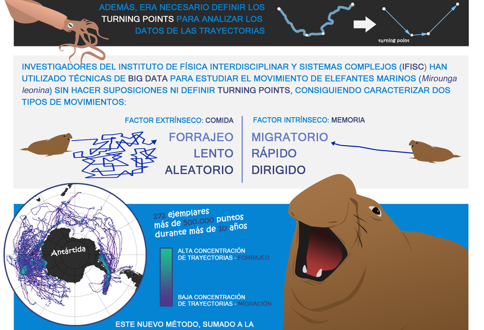 ‘Big data’ para seguir el movimiento de los elefantes marinos