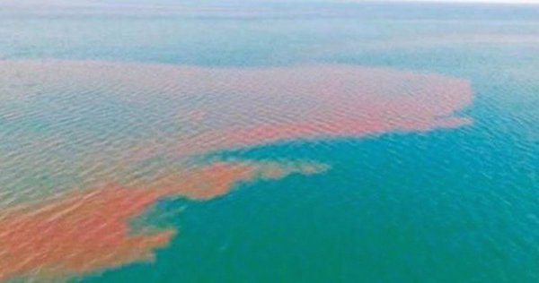 Una mancha de 80 kilómetros de desechos fecales recorre el mar, frente a Los Cabos. #México