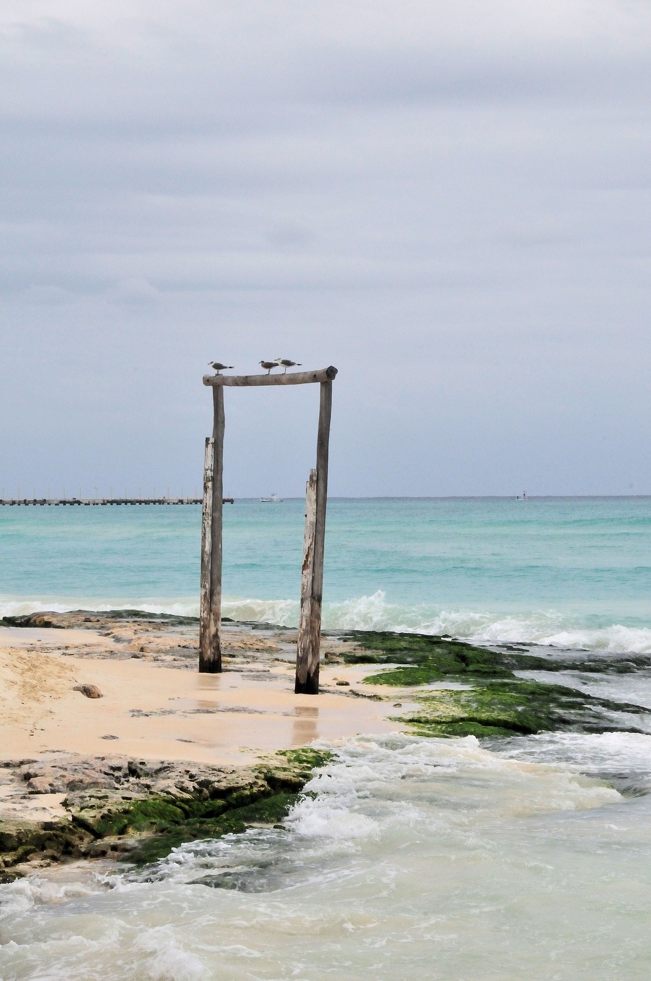 Despojos de terrenos en  #PlayadelCarmen, Quintana Roo