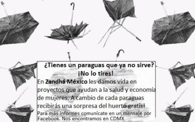 Cambio paraguas rotos por chayotes del huerto o semillas para siembra