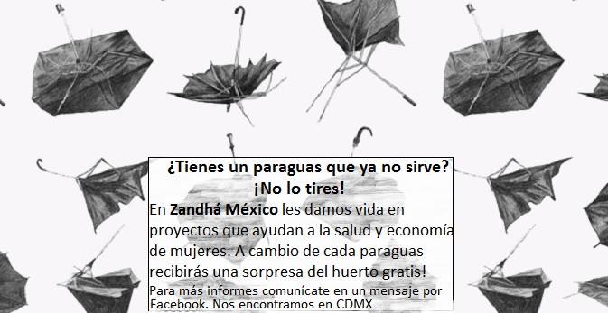 Cambio paraguas rotos por chayotes del huerto o semillas para siembra