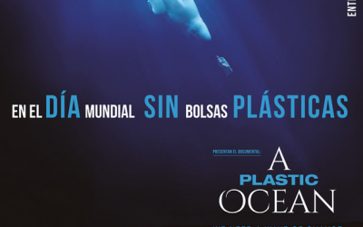 En el día mundial sin bolsas plásticas, Documental «A Plastic Ocean»