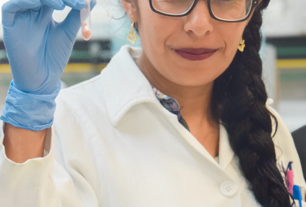 Determinan marcadores a partir de genes nucleares asociados con la calidad de la carne