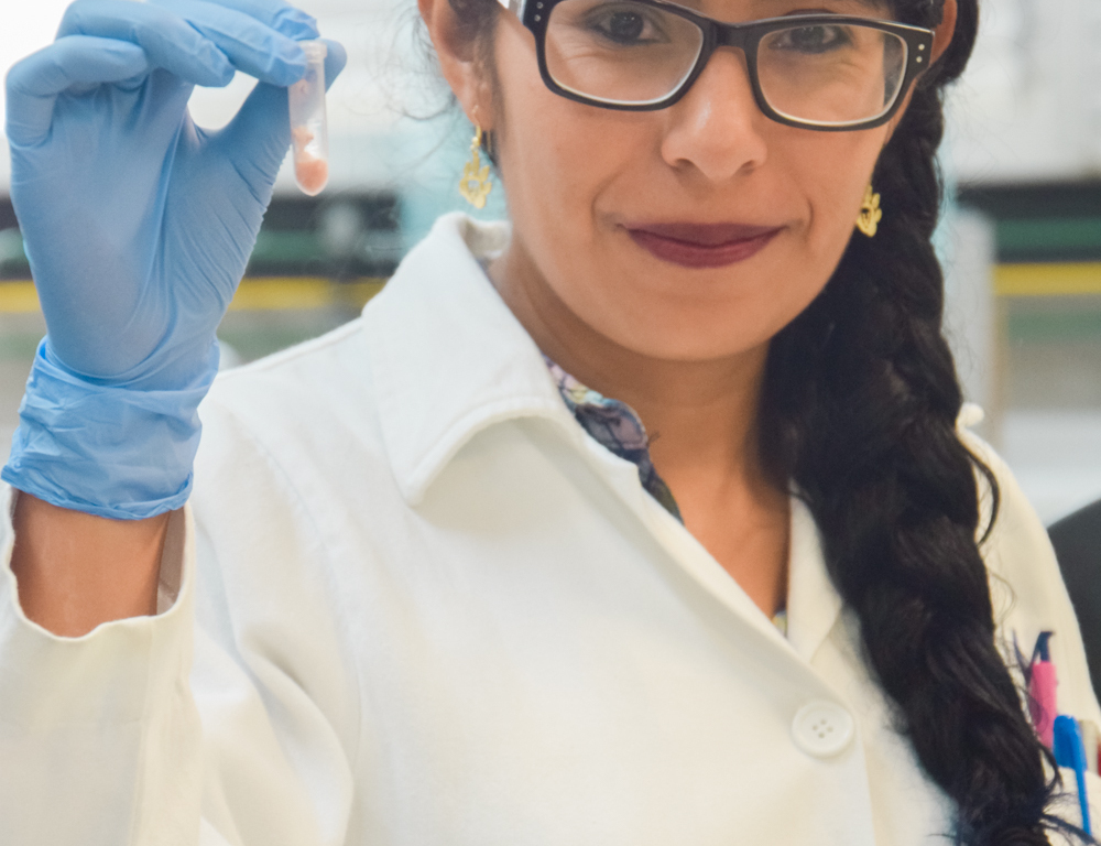 Determinan marcadores a partir de genes nucleares asociados con la calidad de la carne
