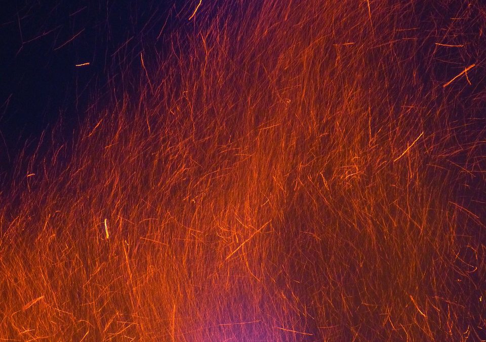 Más de dos docenas de camiones madereros fueron asaltados y quemados en el sur de Chil