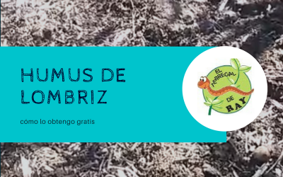 #ElTerregalDeRay | Humus de lombriz, cómo lo obtengo gratis