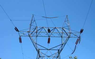 ¿Sabías que el tendido eléctrico de alta tensión es mortal para las aves?