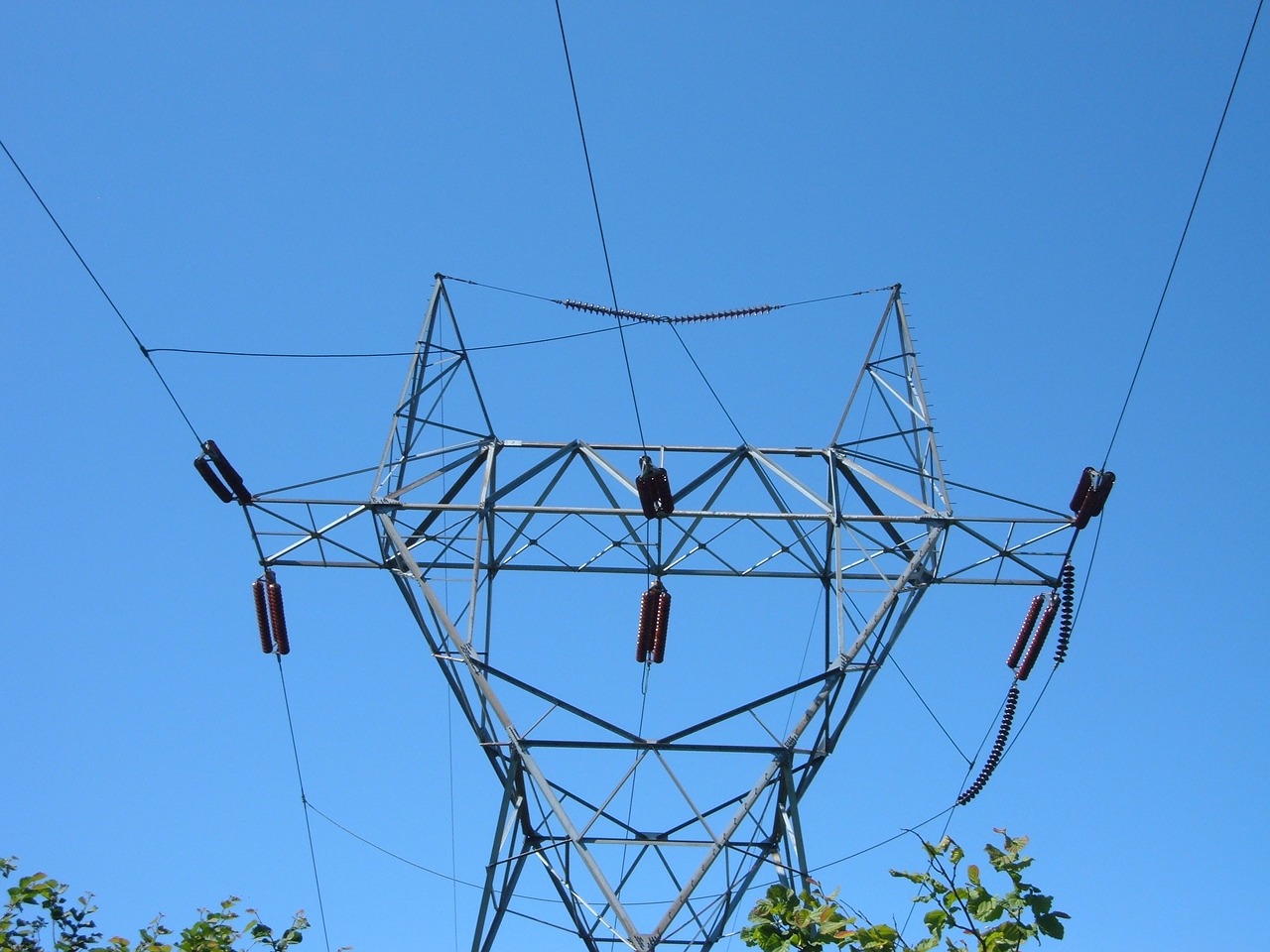 ¿Sabías que el tendido eléctrico de alta tensión es mortal para las aves?