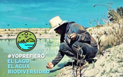 Devastación ecológica y al terrible impacto ambiental  por el Nuevo Aeropuerto de la Ciudad de México