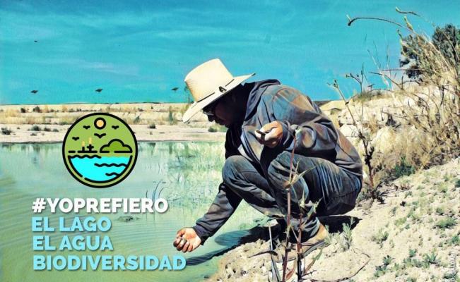 Devastación ecológica y al terrible impacto ambiental  por el Nuevo Aeropuerto de la Ciudad de México