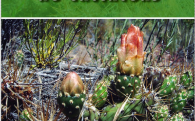 Cartilla de identificación de cactáceas. Chile