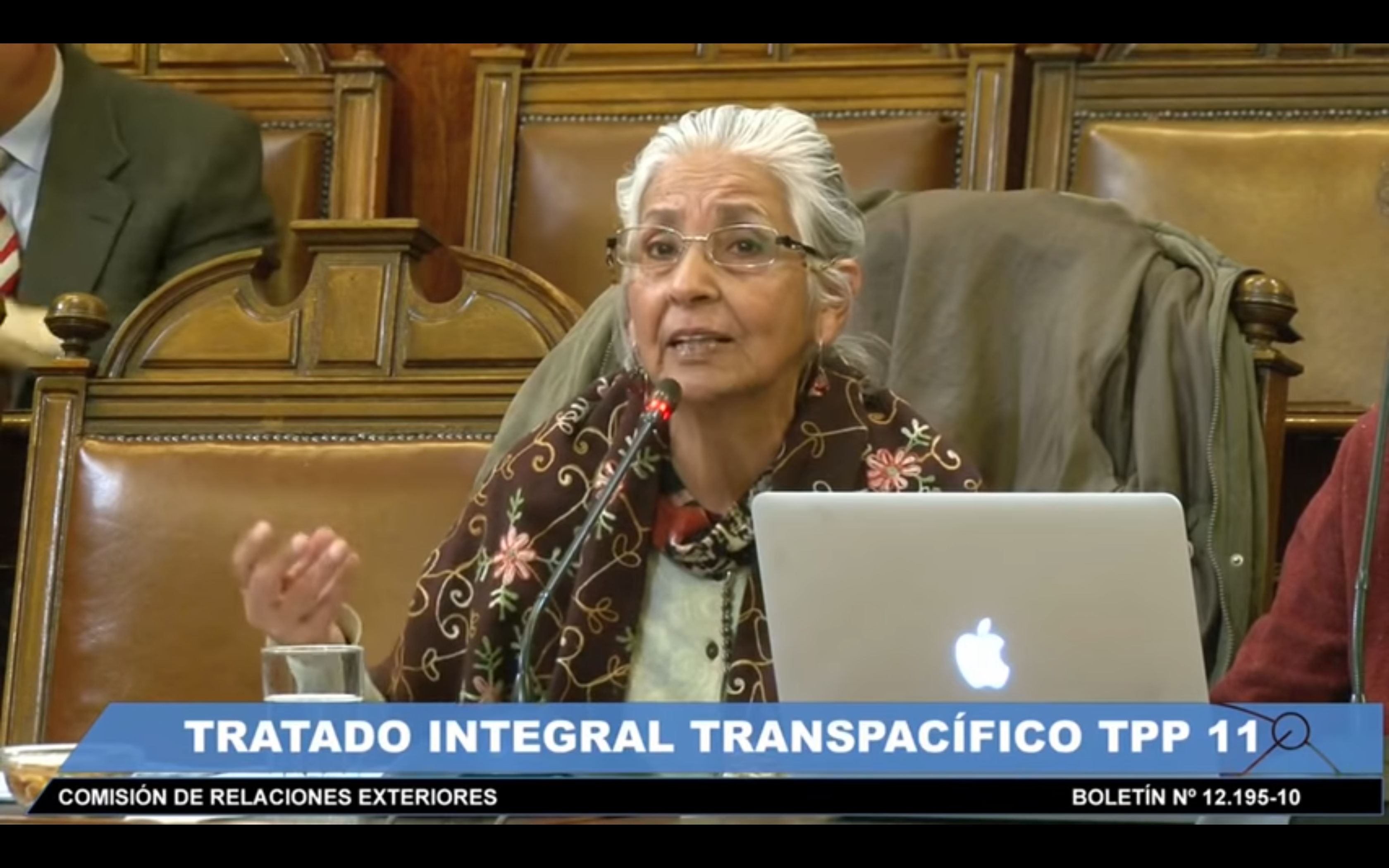 Lucía Sepúlveda de la plataforma Chile Mejor sin TLC en comisión del senado