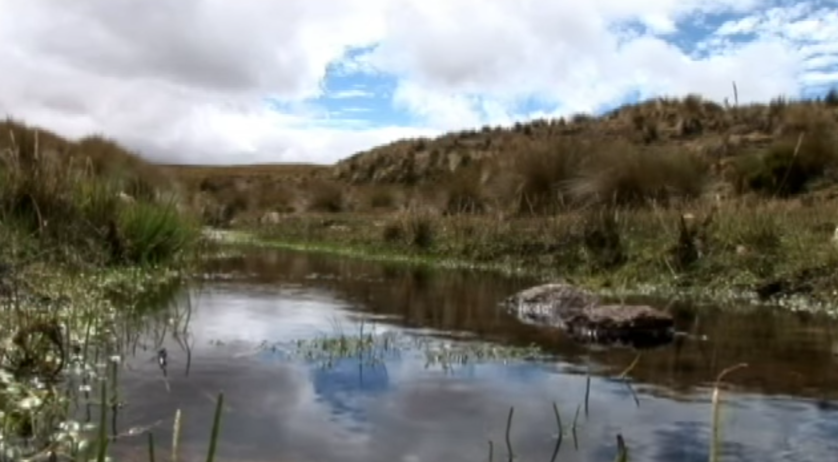 Cortometraje: “Yakumama (Agua)”