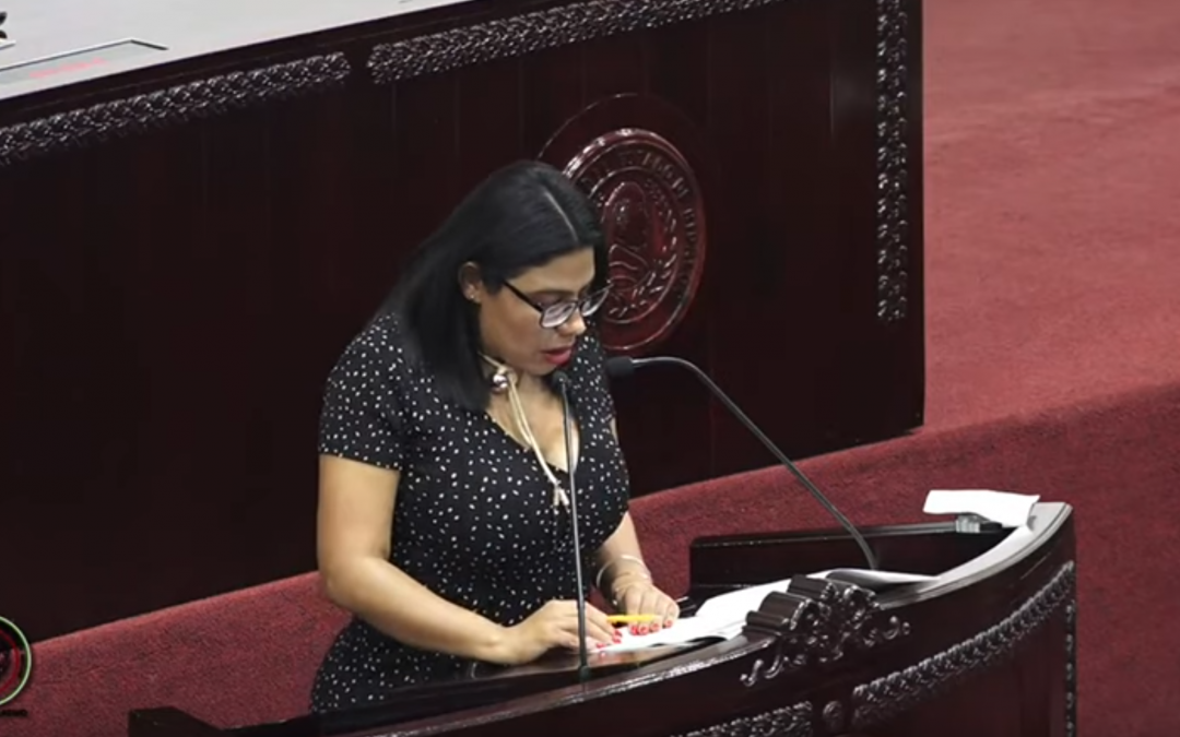 Diputados van contra incineración de residuos