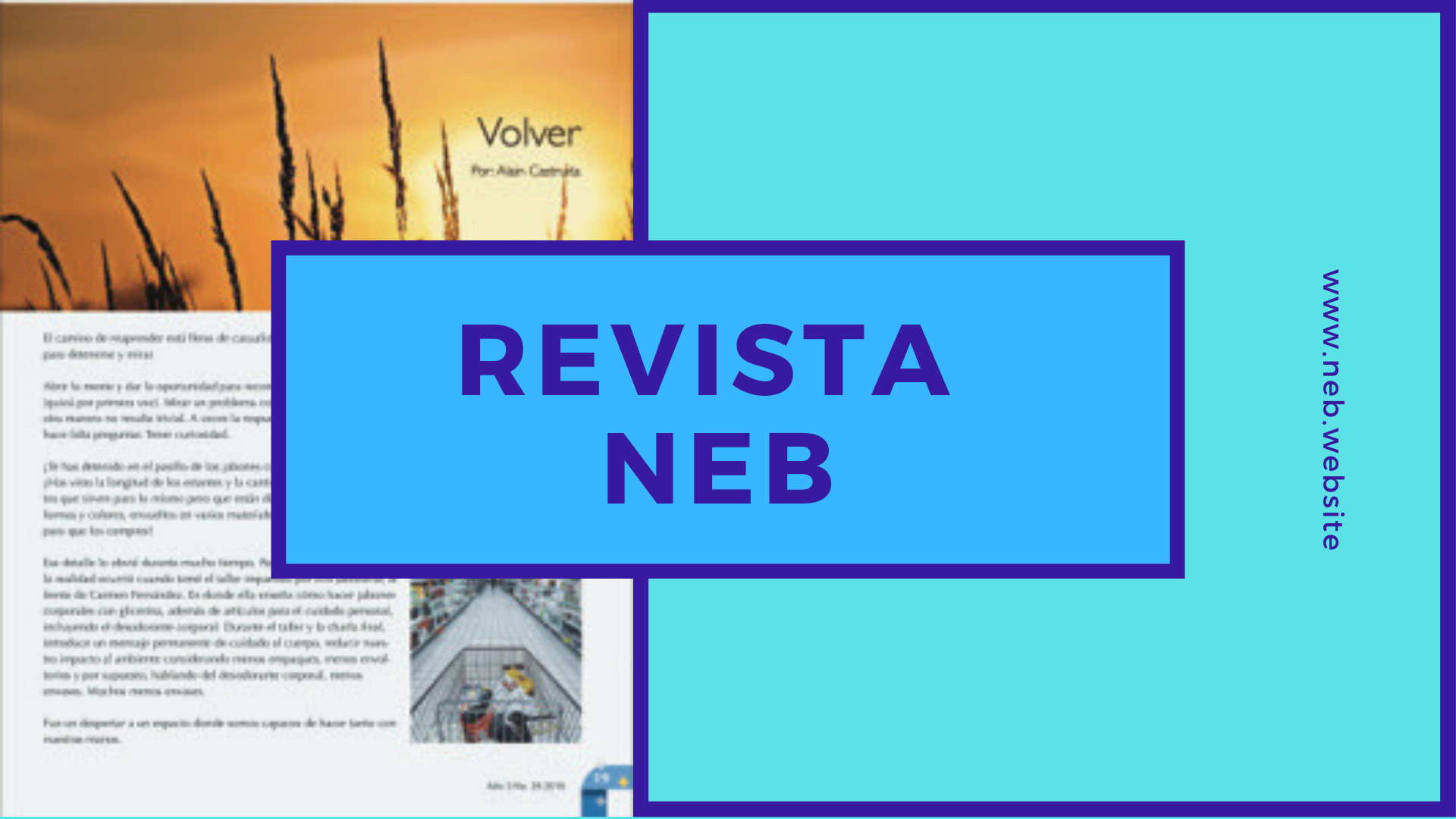 revista NEB #25 📃   🌍 🌎 🌏