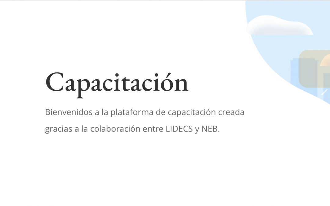 Curso en línea: Impactos en la salud ambiental y humana de la incineración de residuos y sus alternativas.