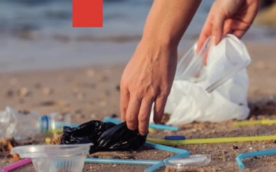 Contra los plásticos tóxicos: La economía circular