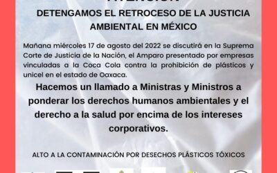 Alerta en la Suprema Corte ante posibles retrocesos en leyes de prohibición de plásticos de un solo uso