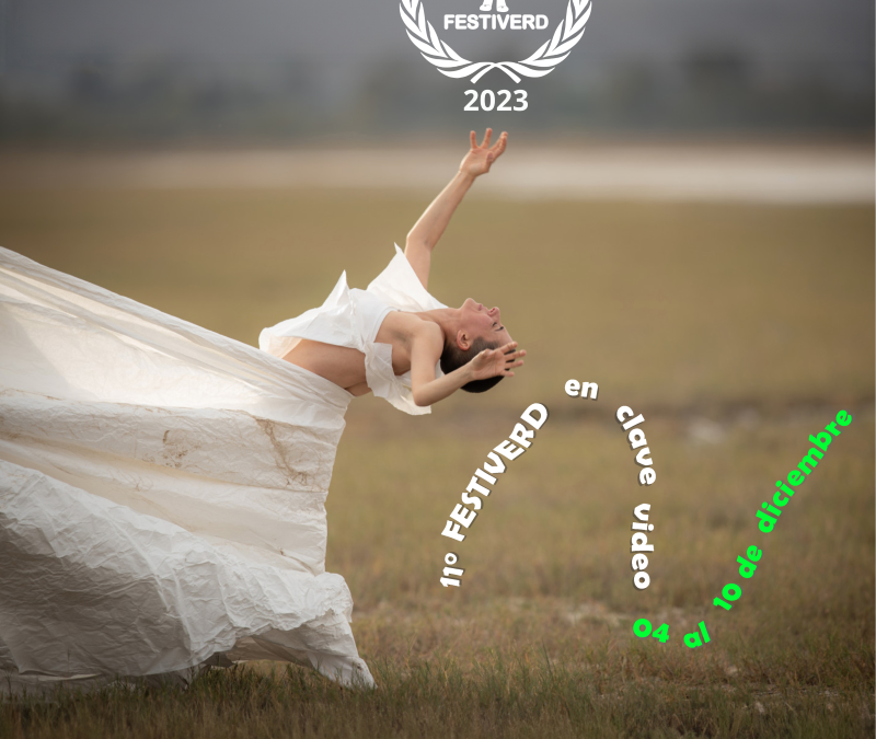 11° FESTIVERD