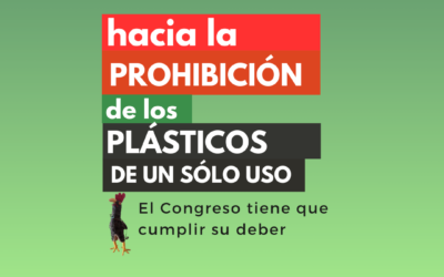 Hacia la Prohibición de los Plásticos de un solo uso. 1a parte