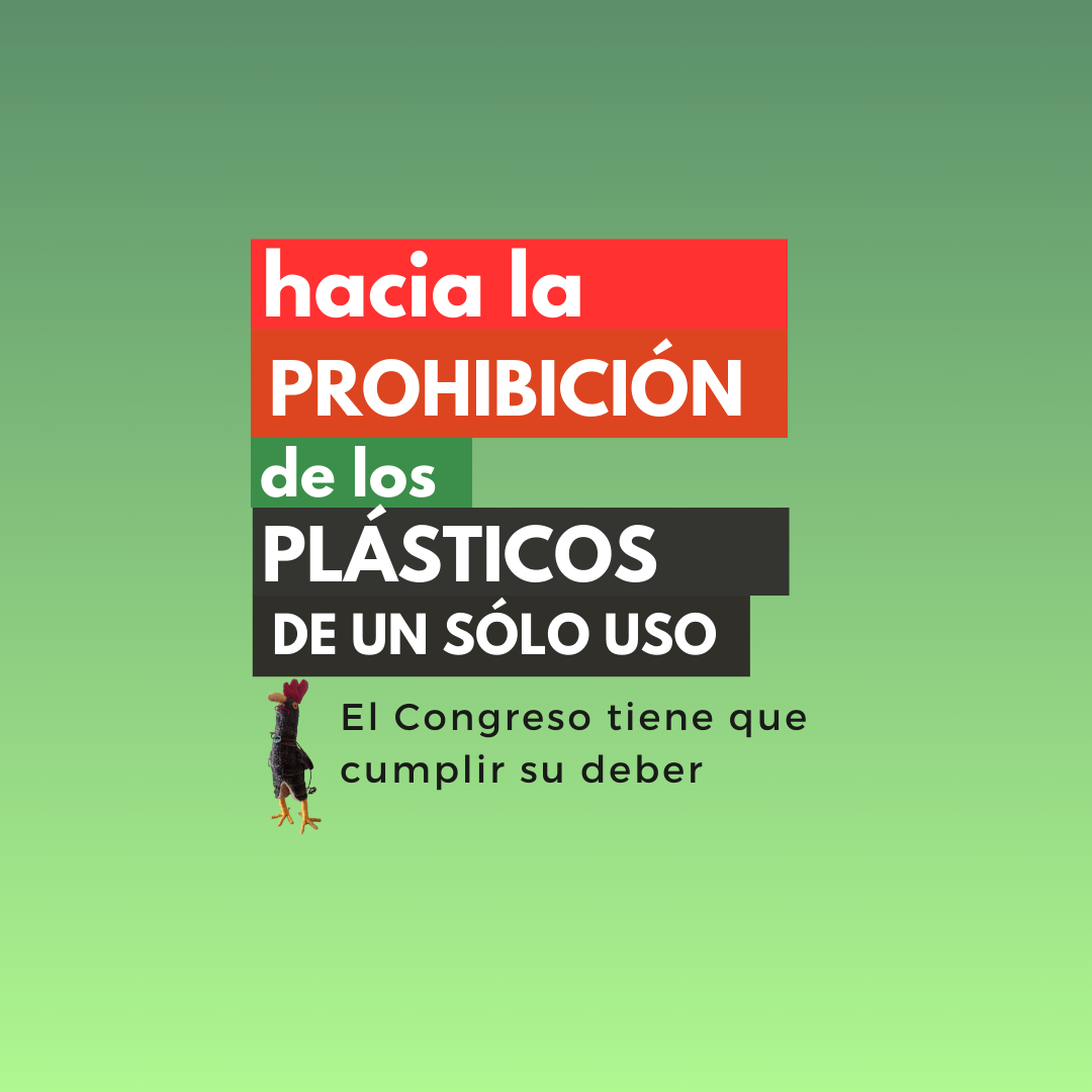 Hacia la Prohibición de los Plásticos de un solo uso. 1a parte