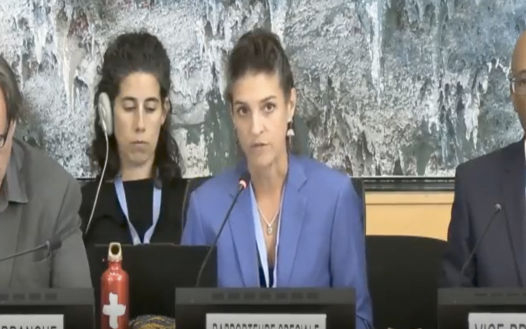 Relatora de Tóxicos y Derechos Humanos de la ONU llama a prohibir usos no esenciales de los “químicos eternos” y reforzar la protección de los derechos humanos